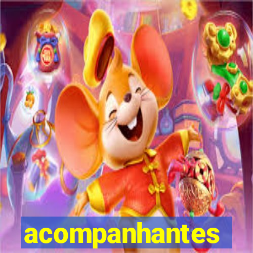 acompanhantes masculino pvh